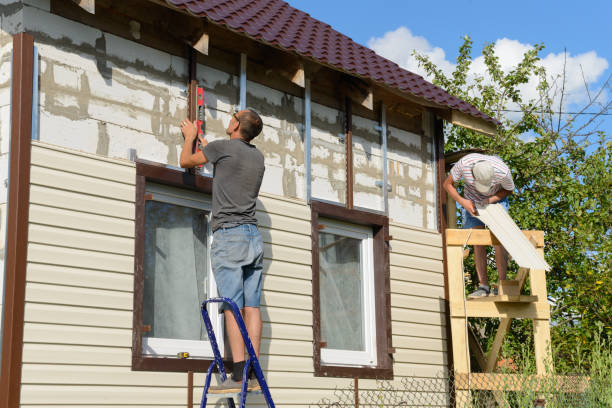 Best Siding Removal and Disposal  in Ashford, AL