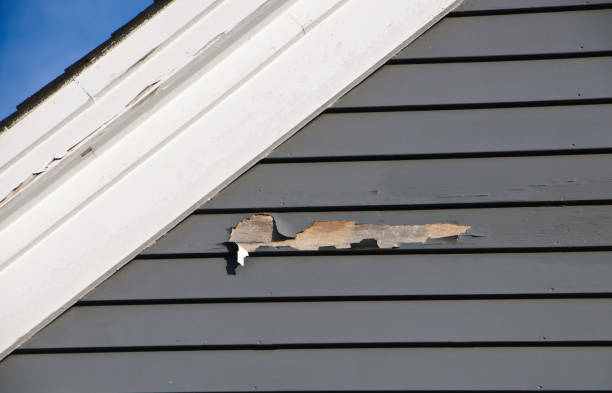 Trusted Ashford, AL Siding Installation & Repair Experts